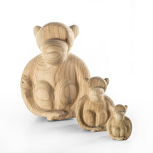 Carica l'immagine nel visualizzatore di Gallery, Osaru set