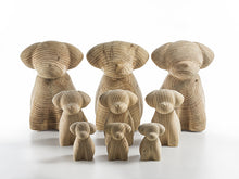 Carica l'immagine nel visualizzatore di Gallery, WAN SET 4